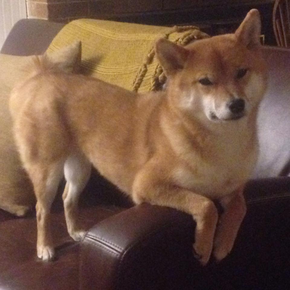 【Jacob deGrom重回巅峰】大都会的王牌投手打出强硬表现,大都会 nava