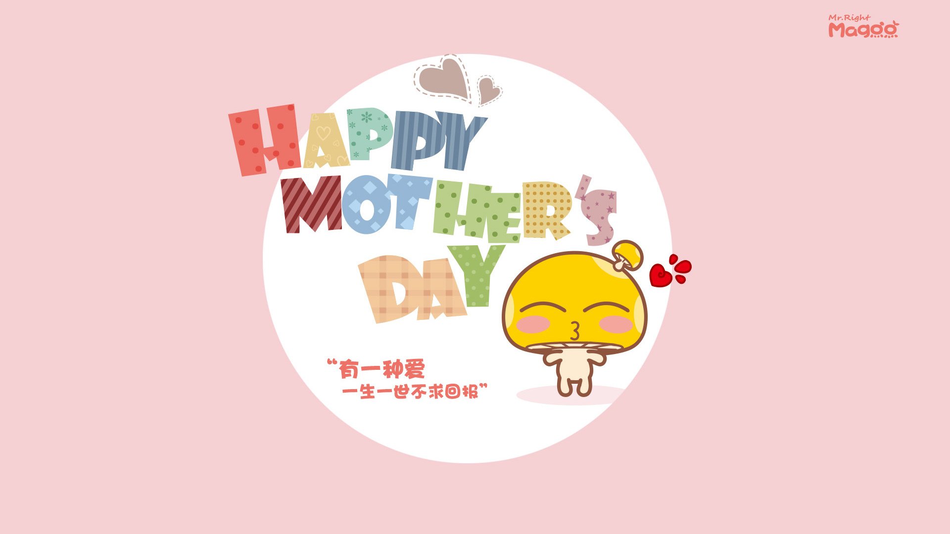 上海申花主帅战术布置精准斩获胜利,上海申花主力队员