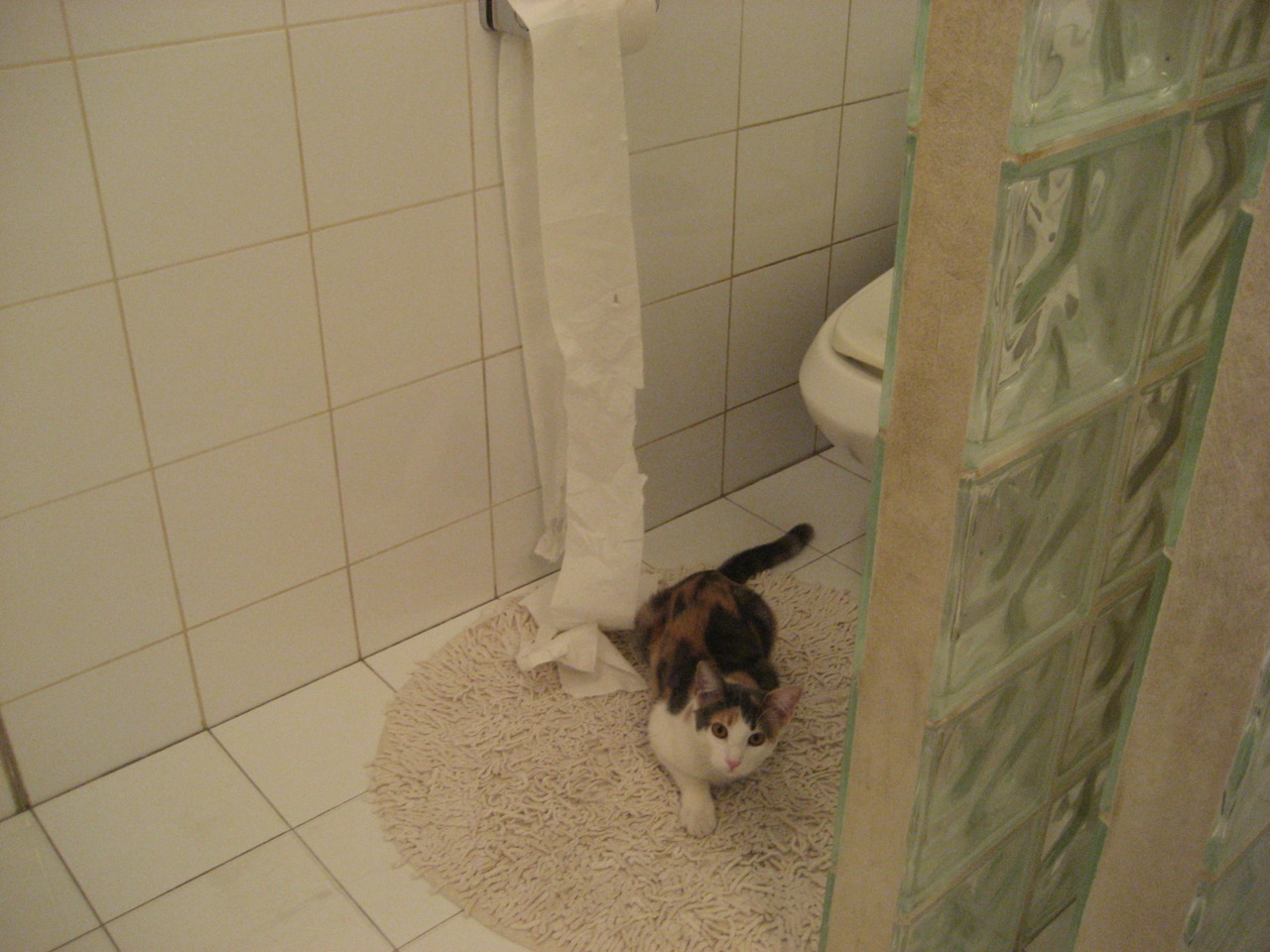 凯尔特人在季后赛中持续发挥塔图姆的“火焰模式”！，凯尔特人塔图姆超清壁纸