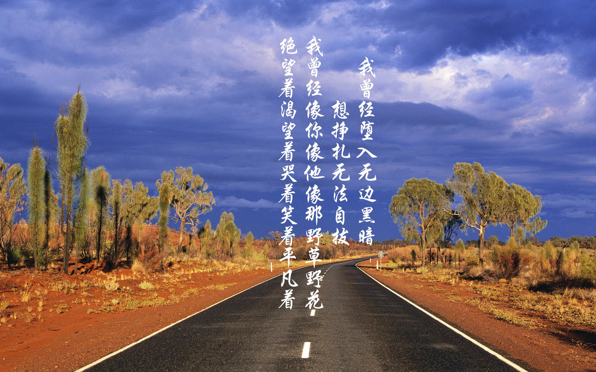 kaiyun-图赫尔接任英格兰国家队主帅，开启新篇章，英超 图赫尔